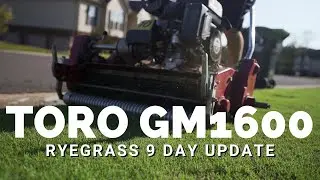 Mowing with Toro GM1600 - Ryegrass Overseed 9 Day Update