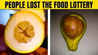 People Who Painfully Lost The Food Lottery 😭🍔