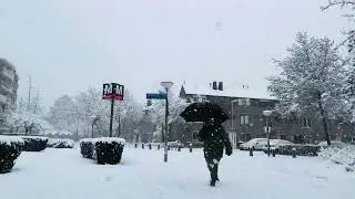 Amazing Sight Heavy Snow in Amsterdam - Winter of 2026 