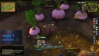 Rampaging Rodents &ndash; 29910 &ndash; WoW Retail Walkthrough