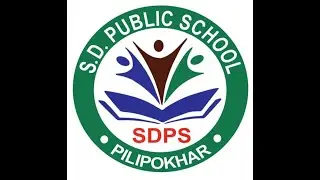 S.D. Public School CBSE Inspection