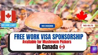 Work in Canada as a Mushroom Picker! No Experience Required, Visa Sponsorship Provided.