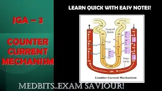 JGA Part 3 : COUNTER CURRENT MECHANISM EASIEST EXPLANATION