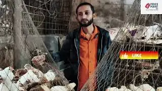 ব্রয়লার–দেশি–সোনালি মুরগির আজকের দাম কত?হঠাৎ মুরগির দাম বৃদ্ধিরকারণ কি?পাইকারি মুরগি কোথায় পাবেন? 