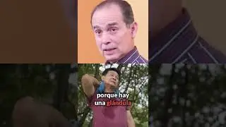 Lo que no sab&iacute;as del sudor.