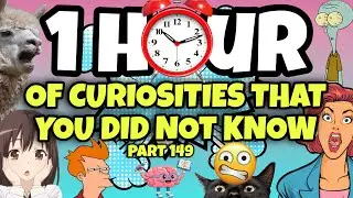 1 HOUR OF CURIOSITIES AND THINGS YOU DIDN’T KNOW 🧠⏰ #149