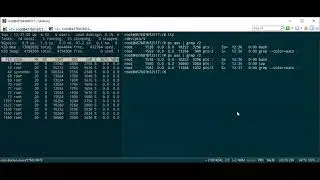 Linux'te exec komutu