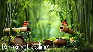 Calming Sleep Music + Nature Water Sounds 🌙 Relax Mind and Body