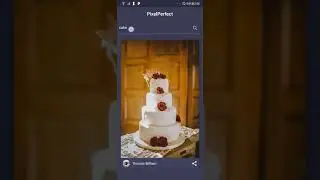 Demo of Instant image search using RxDart in Flutter