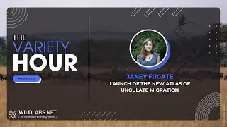Janey Fugate: Launch of the new atlas of ungulate migration