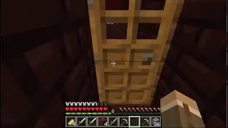 Minecraft Episode 22 - Installing a Door