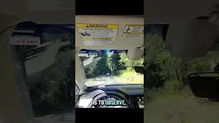 Magnificent Redwoods Views via Meta Glasses POV #nature
