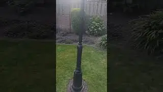 demolition mode ON #dog #animals #pets #comedy #shorts #metallica #rock #clips #metal #funny #music
