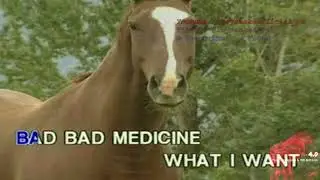 11. Bad Medicine | Spotlight: Bon Jovi | Ivory Music & Video