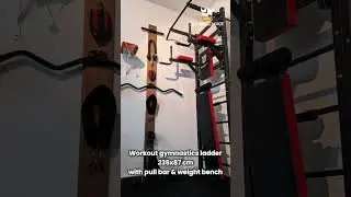 Wall-Mounted Gymnastics Ladder with Pull-Up Bar & Accessories | Home Workout Essential