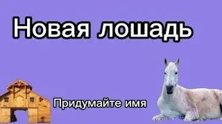 ✨Новая лошадь🐎 /майнкрафт 1.18.02 /🏘️КСК Победа🥇