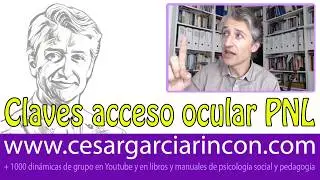 Entrevistas con PNL: claves de acceso ocular