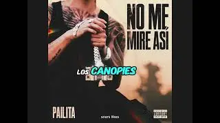 no me mire asi - pailita ( letra/lyrics)