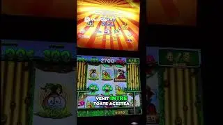Spin & Laugh &ndash; Slot Machine Fails and Funny Moments!