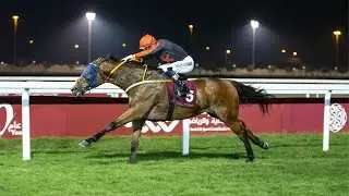 RM 19   Al Uqda Race 4  - Lusail Cup