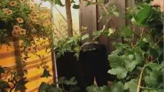 Root Pouch Stofft&ouml;pfe und Satteltaschen auf meinem Balkon