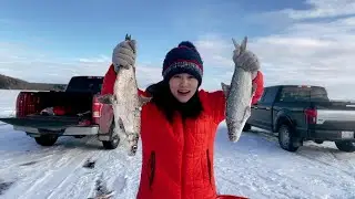 【冰钓-Ice Fishing】加拿大冬季， 是什么魔力会让人坐在户外垂钓？人不动心猛动，融入大自然，精神体力得到双重放松，感受冰钓的独特魅力。