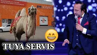 Sanjar Shodiyev - Tuyalari servisi borakana 😂