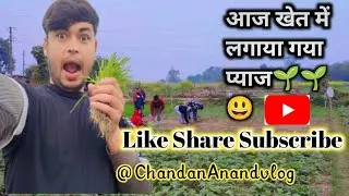आज खेत में लगाया गया प्याज🌱🌱😃।। #viralvideo ।। #vlog ।। #viral ।। @ChandanAnandvlog