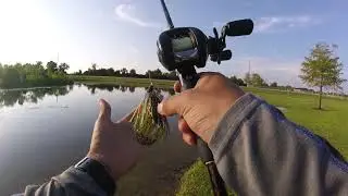 Fishing a Highly Pressured Pond! (City Park Pond)