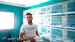 طريقة تركيب الاقفاص اقتيصادي وسهلة😃😃😃