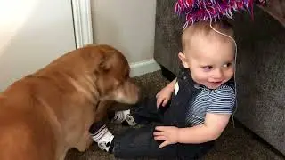 Door Stopper Dog Fun
