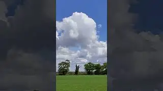 Amazing puffy white clouds on clear blue sky with gorgeous crude green field.