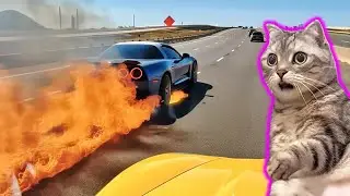 P78 Best Funny Fails of the Week | Enhanced With Pet Reactions 🤣