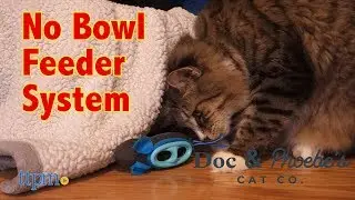 Indoor Hunter Feeder from Doc & Phoebe's Cat Co.