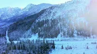 The Alps from above 
