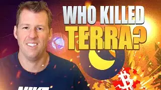 Who Attacked Terra?