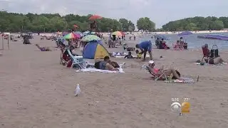 Back In The Water At Orchard Beach