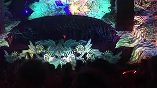 Psy-Fi Festival 2019 (Seed of Science