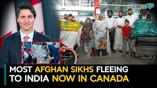 Two-thirds Afghan Sikhs, fled to India after 2021 Taliban takeover, resettled in Canada