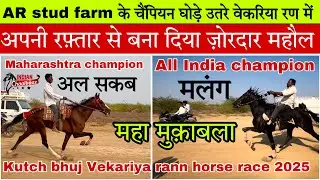चैंपियन घोड़े मलंग और अल सकब ने मैदान में उतरते ही बना दिया ज़ोरदार माहौल #Kutchbhujrace2025