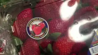 Sunday Grocery Haul | 21 Day Fix | Clean Eating