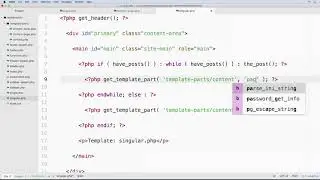 047 Working with the single php template