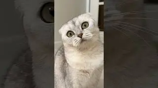 Love story💙 Часть2