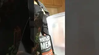 MY CAT WILL ONLY EAT NATURE&rsquo;S MENU CAT FOOD