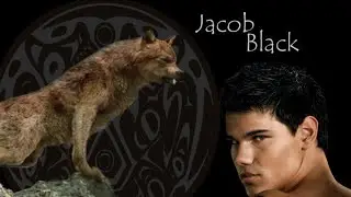 JACOB BLACK SONG