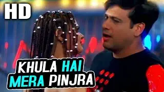 khula Hai Mera Pinjra Full Song | Joru Ka Ghulam |#video #viral #music #apna #apna #subscribe #video