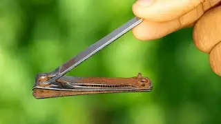 Few People Know the Secret Function of Nail Clippers 😱 You Won&rsquo;t Believe | creation time