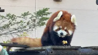Chiba Zoological Park
