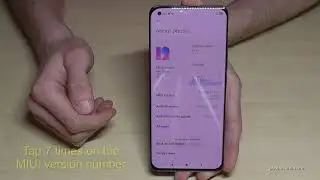 Xiaomi Mi 11 (Pro): How to enable and disable the Developer Options? also for Xiaomi Mi 11 Ultra