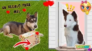 Mi VECINO GUAPETÓN me trae un REGALO / Mel